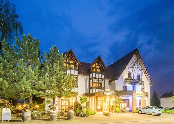 게스트하우스 Land-Gut-Hotel Felsentor