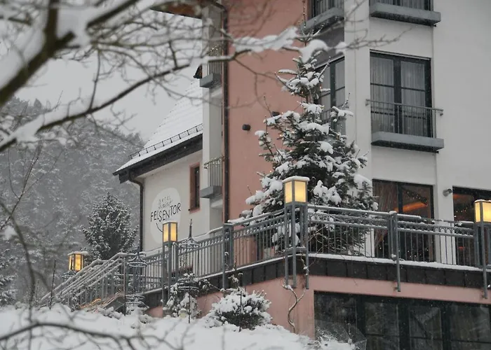 게스트하우스 Land-Gut-Hotel Felsentor 3*