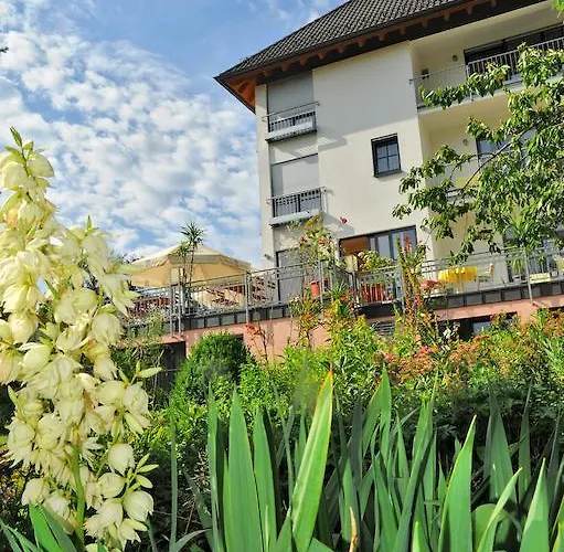 게스트하우스 Land-Gut-Hotel Felsentor 하우엔스타인